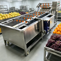 Aanpasbare luchtbelletjes groente- en fruitwasmachine voor restaurants, kantines, centrale keukens en voedselverwerkingsapparatuur