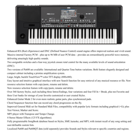 Keyboard Arranger Pro PA600 61-Tombol 950 Suara 360 Gaya 7 Touch 4FX 125 Jenis USB/MIDI MP3 Bekas 100% Teruji 16kg