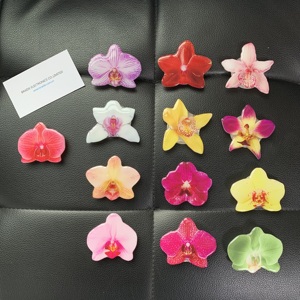 Supporto <span class=keywords><strong>per</strong></span> Telefono a Forma di Orchidea in Acrilico con Colla a Goccia, Impugnatura <span class=keywords><strong>per</strong></span> Cellulare con Fiore di Cymbidium <span class=keywords><strong>per</strong></span> <span class=keywords><strong>iPhone</strong></span> 16 15 14 - Product Image 3