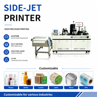 Impresora de inyección de tinta UV de chorro lateral automática de precisión de alta velocidad para cuencos de sopa desechables, equipo de decoración de superficies personalizadas, 1 año de garantía