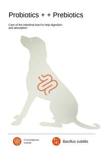 Ventas directas de fábrica Contenido de proteína 18%-45% Comida para perros Sabor de carne al por mayor Todas las edades Proveedores de alimentos para mascotas de alta calidad - Product Image 4