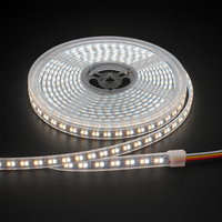 Bande LED étanche IP67 à spectre complet 24V, CRI95 élevé, SMD2835, 192 LED/m, blanc réglable, ruban lumineux flexible
