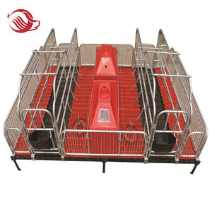 Attrezzatura per Ingrasso Suini, Gabbia per Maternità, Recinzione, Recinti per Ingrasso - Product Image 3