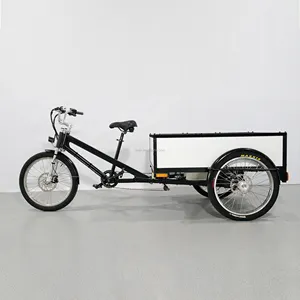 ESTER 500W Electric新Cargo Tricycle Customized Soft Top、3輪電動貨物自転車、ライターアルミボックス