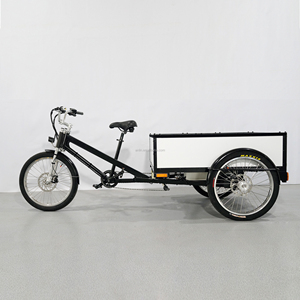 Triciclo Elettrico da Carico ESTER 500W Nuovo con Tettuccio Morbido Personalizzato, Bici Cargo Elettrica a 3 Ruote, Cassone in Alluminio Alleggerito - Product Image 1