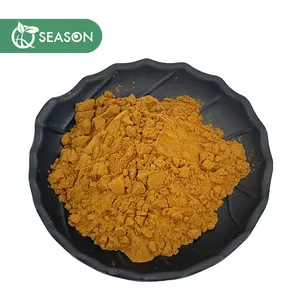 Natural Lions Mane Mushroom Powder Hericium Erinaceus Extract