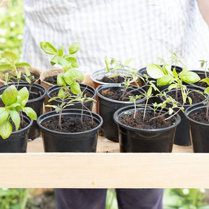 Plantas <span class=keywords><strong>de</strong></span> jardín <span class=keywords><strong>desechables</strong></span> crecen maceta negra 1 3 5 7 galones pequeñas <span class=keywords><strong>macetas</strong></span> <span class=keywords><strong>de</strong></span> vivero <span class=keywords><strong>macetas</strong></span> <span class=keywords><strong>de</strong></span> plástico para vivero - Product Image 2