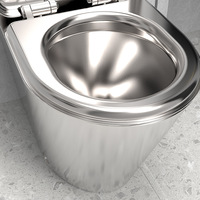 Réservoir de toilette monobloc en acier inoxydable 304 personnalisé, double chasse d'eau, désodorisation automatique, design moderne, montage au sol pour