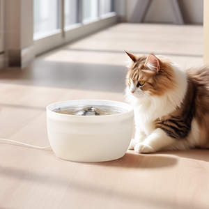 <span class=keywords><strong>Fontaine</strong></span> à eau automatique pour animaux de compagnie en acier inoxydable 304 ultra silencieuse de 3 L, distributeur d'eau automatique pour chiens - Product Image 6