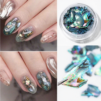 TSZS 12 pots de paillettes naturelles Aurora pour ongles, éclats de coquillages fins, poudre d'ormeau, décoration 3D pour manucure DIY