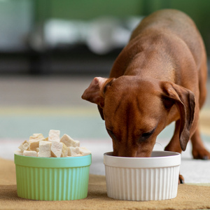 Ranova फ्रीज सूखे नाशपाती फल पैकेजिंग थोक निर्माताओं आयात पालतू भोजन - Product Image 6