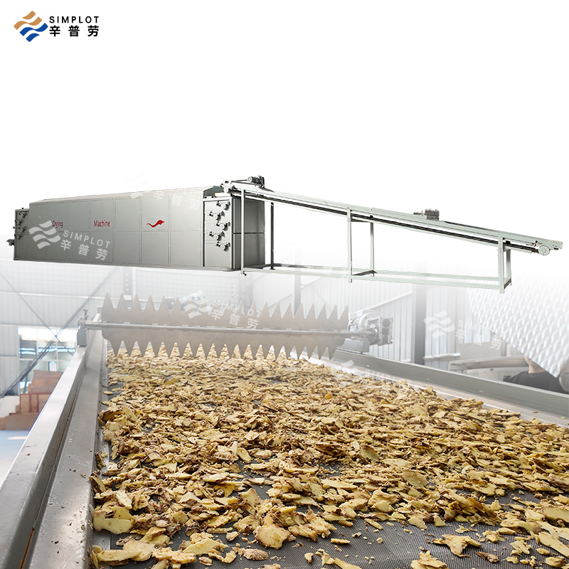 Automatic Food Processing Drying Line Food