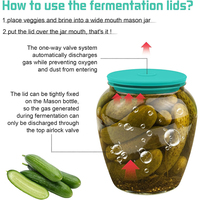 Tutup Fermentasi Silikon Airlock untuk Stoples Mulut Lebar, Tutup Fermentasi Silikon dengan Airlock Tanpa Air