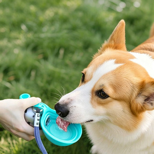 Nouveau produit : Gourde portable pour chien en acier inoxydable 304, motif arc de cercle, pour promenades et utilisation en extérieur - Product Image 1