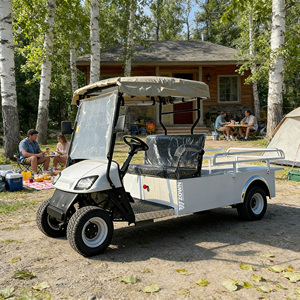 Comfortable seats, luxury sightseeing vehicle, durable tires, high quality - Product Image 1