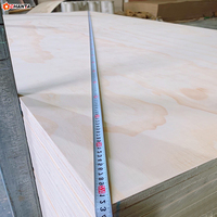 Lámina de Madera Contrachapada de Abedul Impermeable de 18 mm, 15 mm, 12 mm, 9 mm, CDX Moderno E0