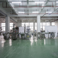 Processus de conditionnement en ligne pour détergents et poudres sèches (épices) avec remplissage par vis sans fin, capsulage et scellage pour machine de production finie