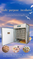 Incubateur d'œufs automatique 1056 places en gros pour l'élevage – Machine à couver les œufs de poule, canard, oie, caille – Système solaire pour l'agriculture