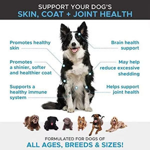 OEM/ODM Suplemento de Omega 3 natural personalizado para la salud de las mascotas Perros Aceite de salmón de Alaska Masticables con ácidos grasos EPA y DHA - Product Image 4