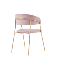 Chaise de salle à manger en métal confortable, recouverte de velours moderne de luxe, prix spécial Alibaba, pour la maison et les restaurants