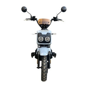 Motocyclettes électriques à deux roues de 1000 W haute puissance avec phares LED, vitesse maximale de 40 à 60 km/h, cadre en fer, batterie amovible, utilisation en ville - Product Image 4
