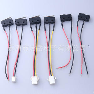 Leqing Jieyue Micro Switch 12-55V PPA Shell SPST With Handle And Wire 10Cm For <b>Kitchen</b> <b>Appliances</b> - Product Image 1