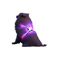 Harnais et gilet lumineux imperméables en gel de silicone rechargeables par USB, collier pour chien LED protégé par brevet américain