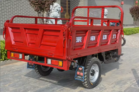 Tricycle cargo à trois roues avec toit, moteur refroidi par eau 300cc, essence, Y003