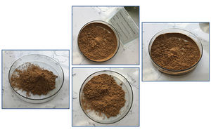 植物抽出物メーカー供給トリテルペノイドサポニン黒コホーシュエキス - Product Image 6