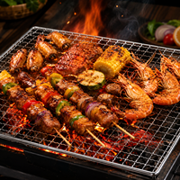 Grille de barbecue jetable ronde en maille pour la cuisson en camping