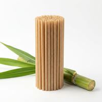 Pailles en canne à sucre de grand diamètre (8 mm, 12 mm) pour smoothies - Pailles biodégradables en bagasse pour bubble tea et jus épais