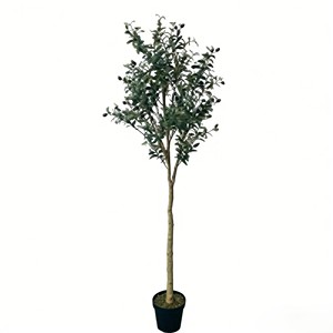 Olivos de Plástico Desmontables para Decoración Interior/Exterior, Navidad y Año Nuevo, Ecológicos, Paquete de Varias Piezas - Product Image 1