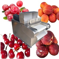 Premium Fruitnaalden-insteekmachine: Verbeter de smaakabsorptie van gedroogde bessen & meer
