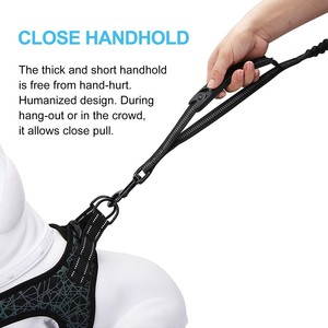 Laisse élastique anti-traction pour chien avec boucle coulissante, poignée en caoutchouc ondulé et mousse rembourrée pour grands chiens et chiens qui tirent - Product Image 5