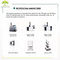 Designer d'huile de parfum de menthe en vrac de longue durée pour diffuseur parfum à base d'huile à haut concentré Essence de parfum de qualité en gros