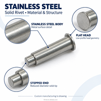 TianFang Custom Step Rivets in Stainless Steel, Solid or Semi-Tubular Precision Fasteners, Made to Sample or Drawing, OEM/ODM
