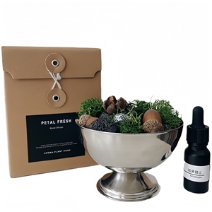 Diffuseur d'huiles essentielles <span class=keywords><strong>de</strong></span> plantes naturelles Pierre brute volcanique Pierre diffusant des arômes <span class=keywords><strong>de</strong></span> roche pour <span class=keywords><strong>la</strong></span> chambre Fête des mères pour diffuseur <span class=keywords><strong>de</strong></span> roseau - Product Image 6