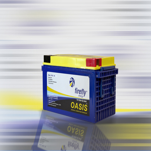 Batterie au gel VRLA AGM FIREFLY OASIS Advanced Microcel Carbon Foam 12V 65AH à décharge profonde, anti-déversement, longue durée de vie, IP65 - Product Image 1