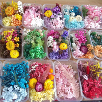 Bunga Kering Alami Grosir Lavender & Bunga Cengkeh untuk Hari Ibu, Pernikahan, dan Dekorasi Pewangi