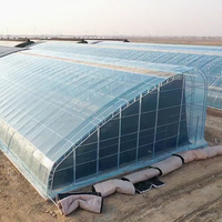 BAOLIDA Grote Enkelspanningskas voor Plantenteelt, Commerciële Landbouwkas Kit Tent PE Folie Passieve Zonne-energie