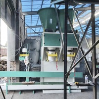 Máquina de Envasado de Banda de Doble Estación 5-50kg para Fertilizante Microbiano, Tierras Raras y Compost Industrial