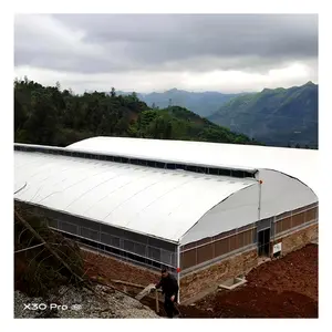 Rumah kaca pertanian berkualitas tinggi untuk berkembang biak pertanian