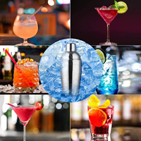 Kit personnalisable en acier inoxydable, pour Bar de 550ml, mélangeur avec support en bois, Shaker, ustensile de Bar