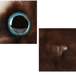 Chất Lượng Cao Mềm Dễ Thương Đồ Chơi Sang Trọng Sống Động Như Thật Mèo Đồ Chơi Sang Trọng Mèo Đồ Chơi Sang Trọng - Product Image 3