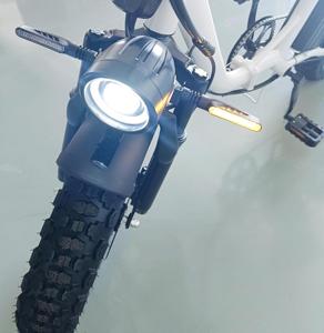 Offre Spéciale 16 pouces cadre en acier à haute teneur en carbone Style 48V 800W batterie au Lithium à grande vitesse frein hydraulique arrière vélo pliant - Product Image 6