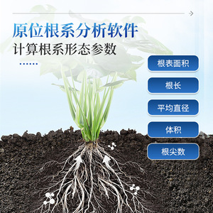 In-Situ Root System Analyzer IN-GXY High-Resolution Root Morphology Monitoring Equipment - Product Image 1