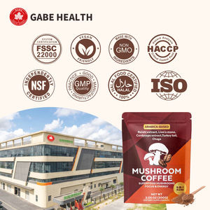 Poudre de café aux champignons biologiques, complément alimentaire, santé cérébrale, soulagement du stress, énergie durable, végétalien, pour adultes, bien-être quotidien - Product Image 2