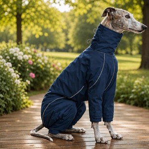 Manteau imperméable et coupe-vent pour chien Greyhound, veste réfléchissante pour animaux de compagnie, impression personnalisée couleur OEM ODM, tenue d'extérieur, vêtements pour animaux - Product Image 5