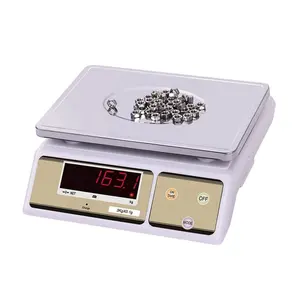 Precision Balance Weighing Scale 30kg 1g Nail Scale