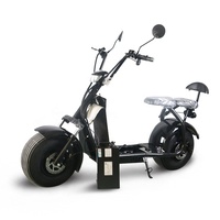 Pour scooter électrique Citycoco 1500W, puissant, en alliage d'aluminium, étanche, tout-terrain, vitesse maximale de 40 km/h pour adultes